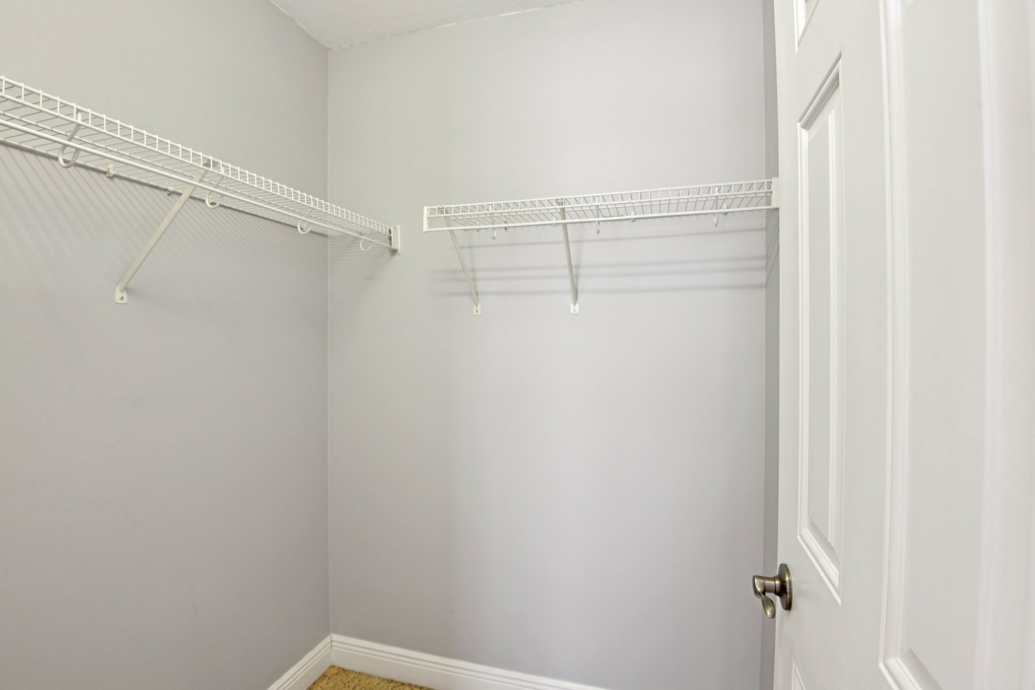 Valencia Cir-S1203-031.jpg