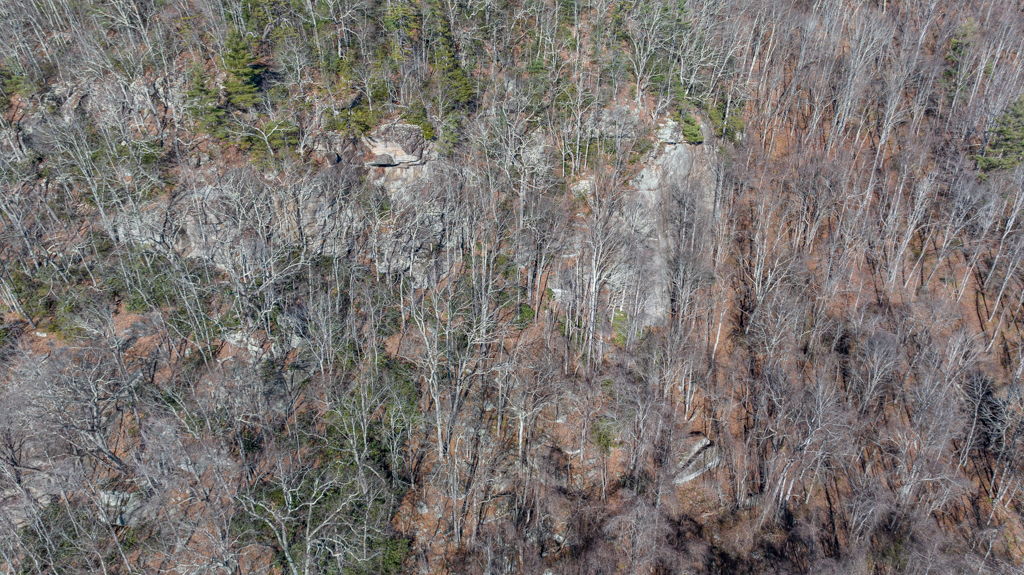  Photo 48