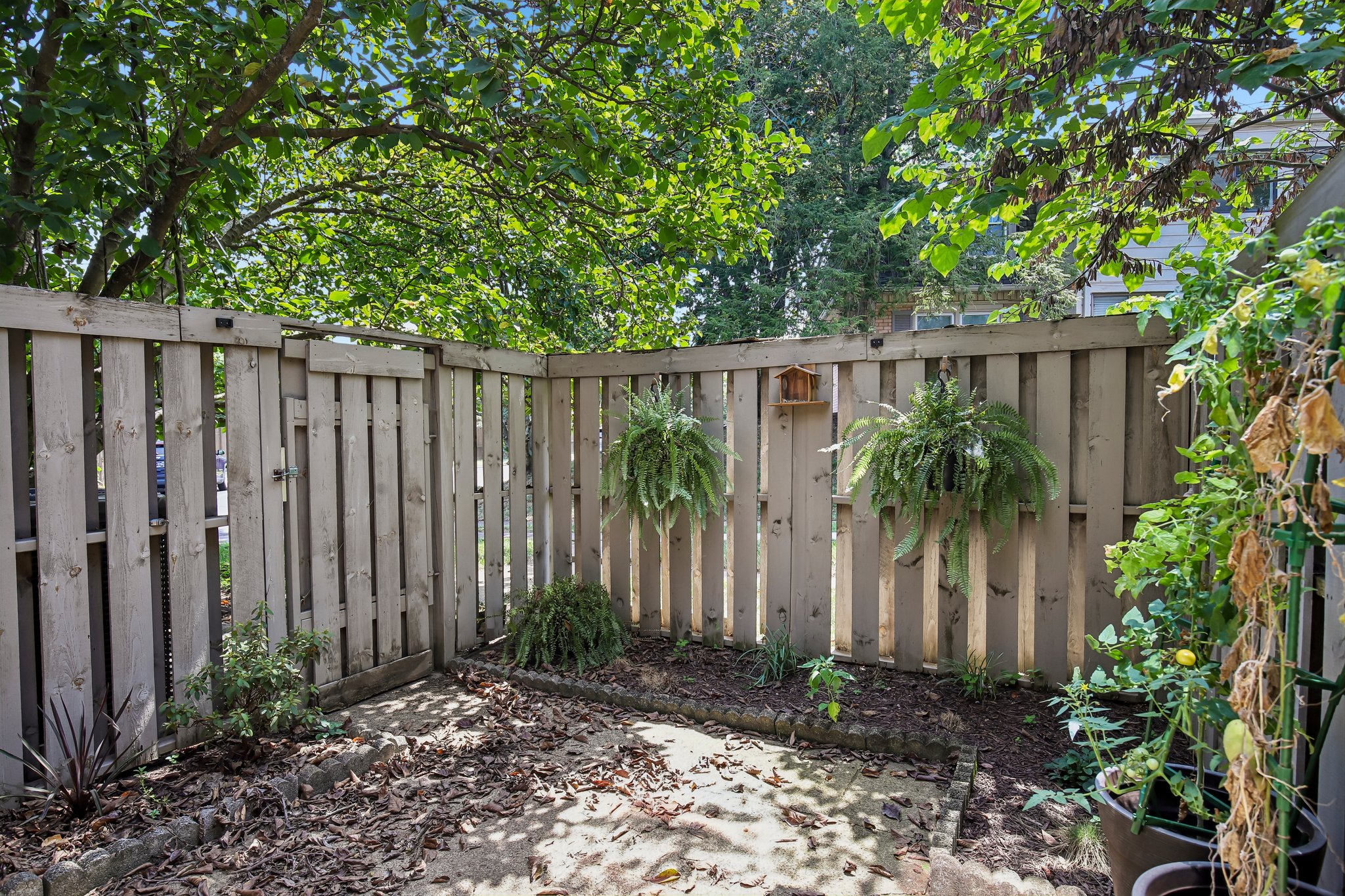 Hillsboro Pike 113-S1808-058.jpg