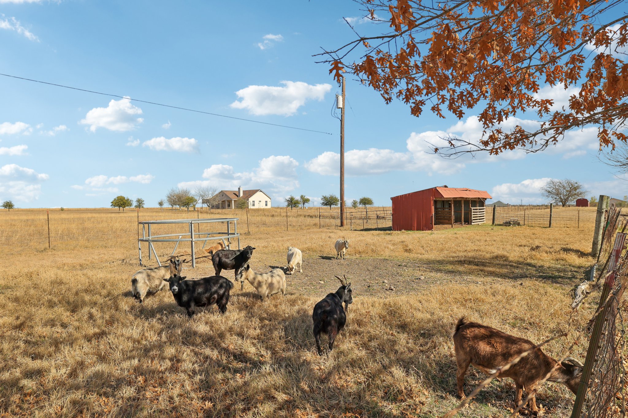 W Amity Rd-S0701-055.jpg