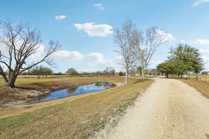 W Amity Rd-S0701-009.jpg