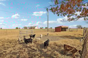 W Amity Rd-S0701-055.jpg