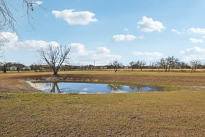 W Amity Rd-S0701-060.jpg