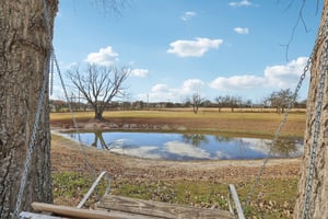 W Amity Rd-S0701-061.jpg