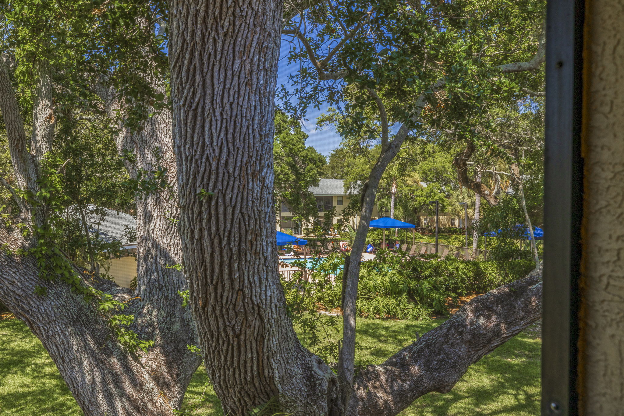 AB3_Arbor Grove-31