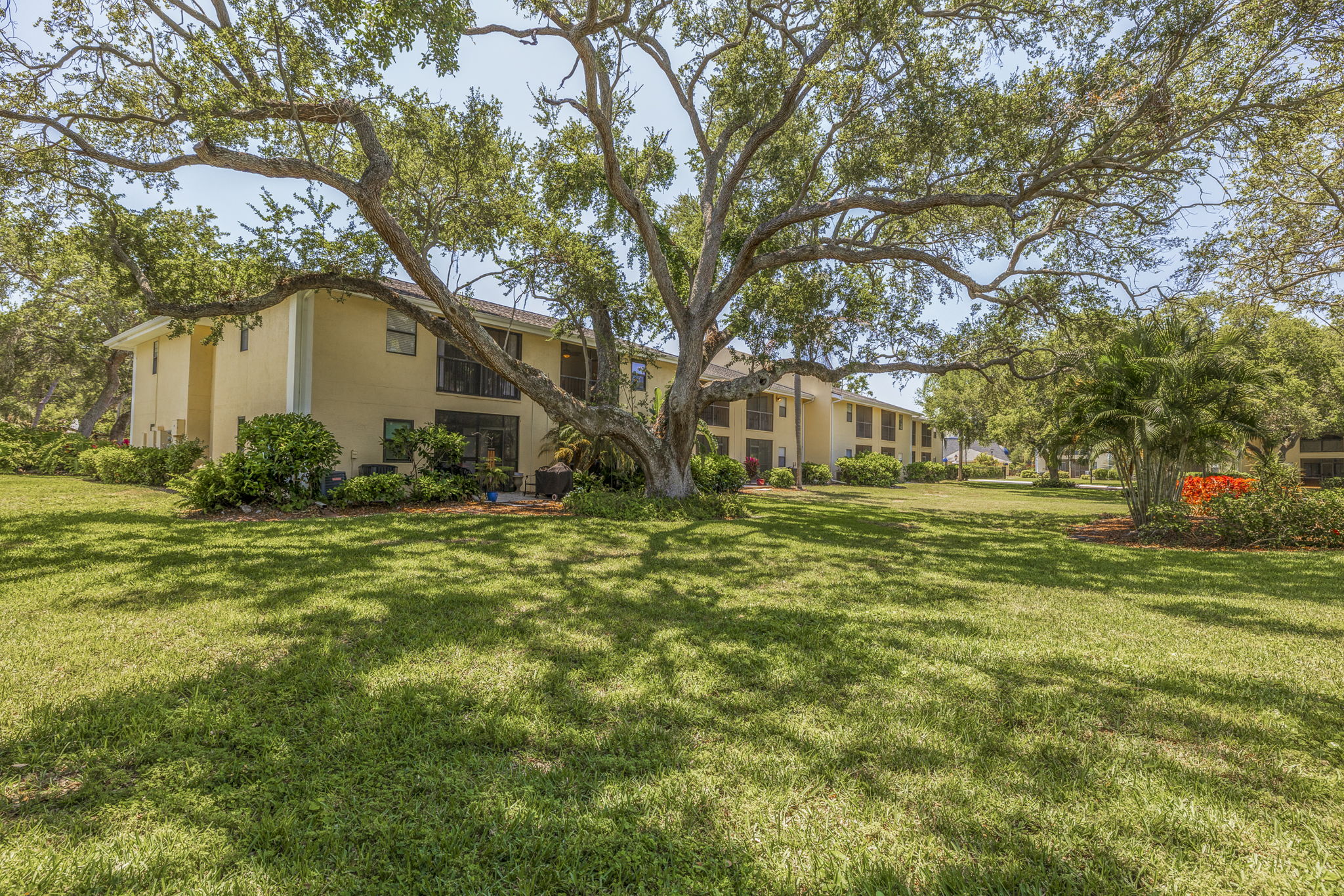AB3_Arbor Grove-32