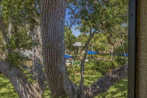AB3_Arbor Grove-31