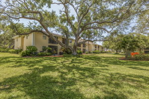 AB3_Arbor Grove-32
