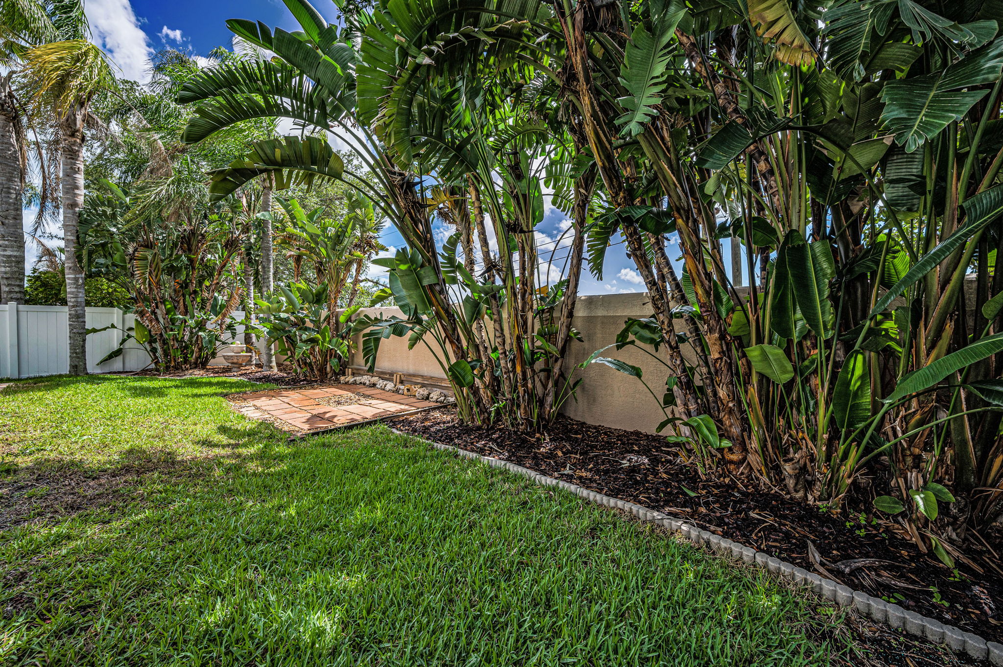 Backyard3