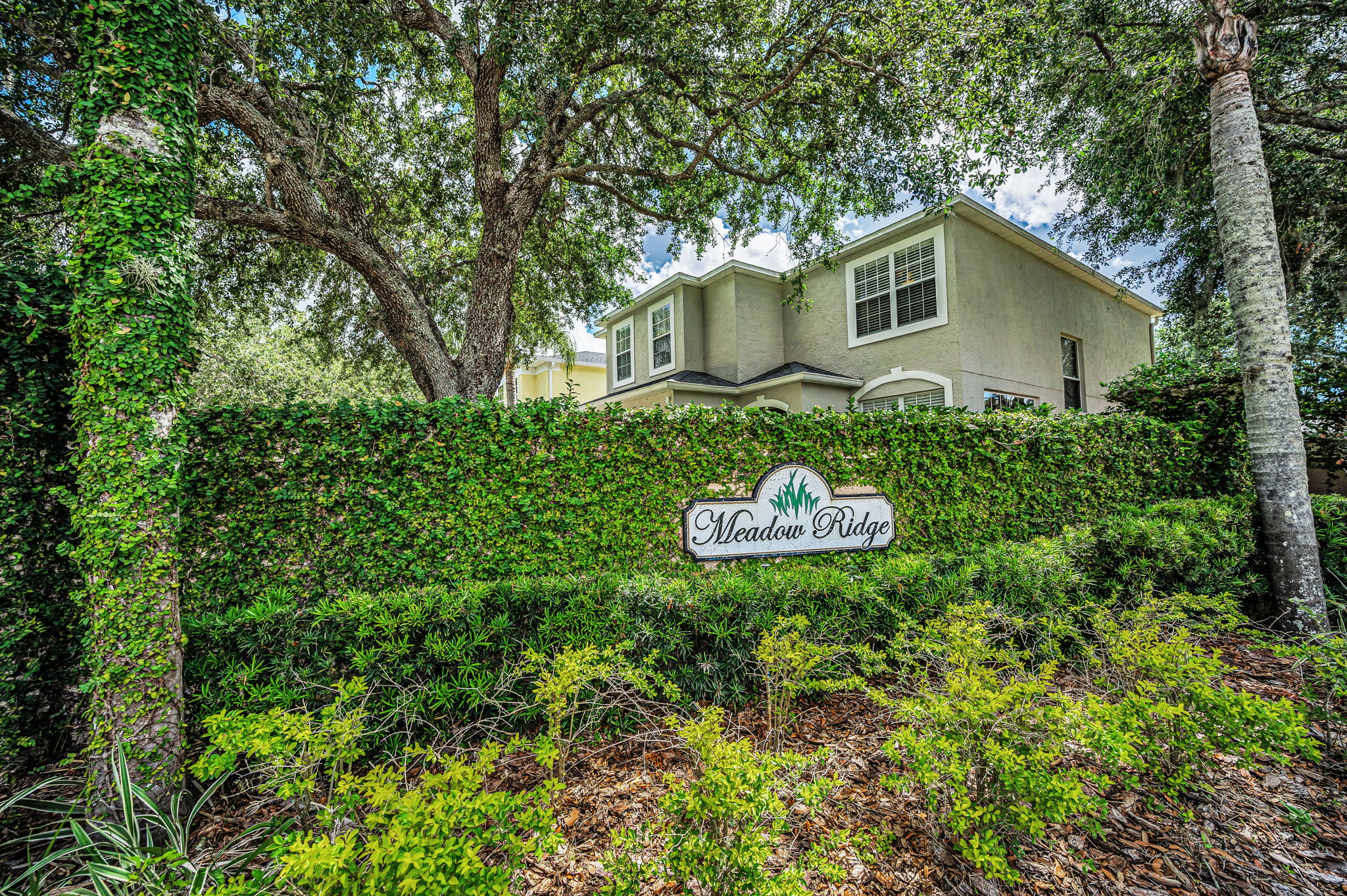 Meadow Ridge
