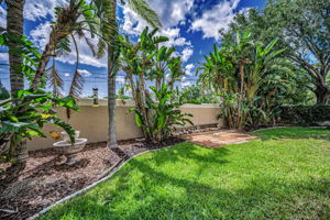 Backyard1