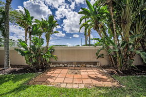 Backyard2