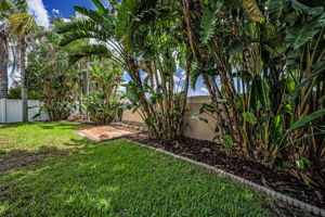 Backyard3