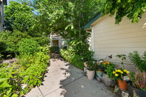  Photo 0