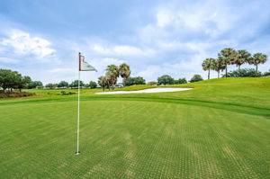 Glenview - Tally Ho Golf Course5