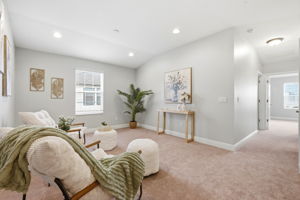 Interiors (23)
