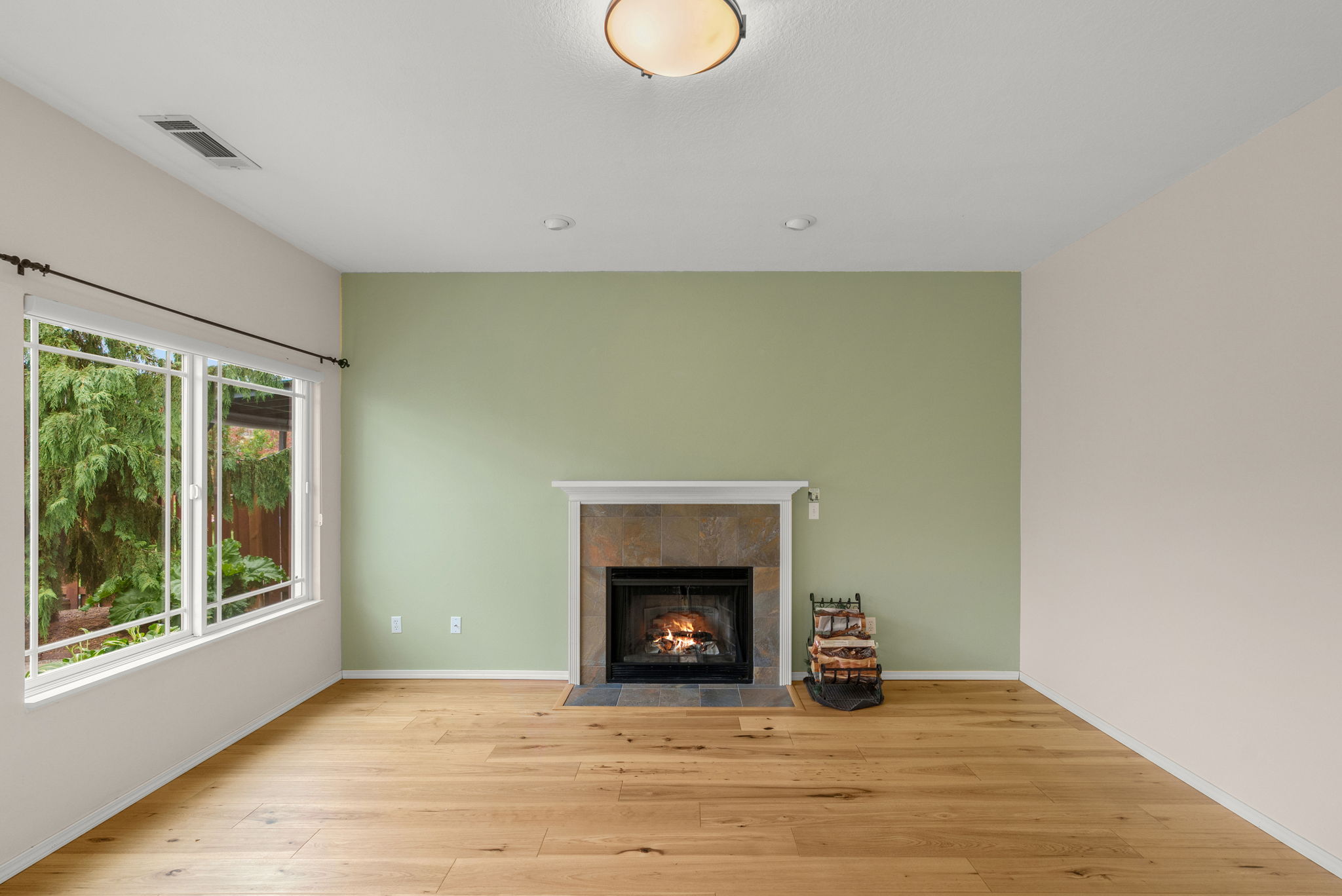 Living Room - Fireplace