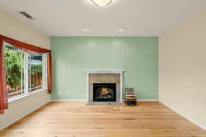 Living Room - Fireplace