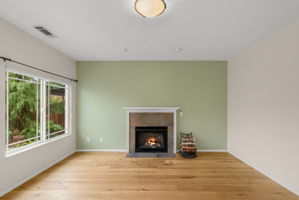 Living Room - Fireplace