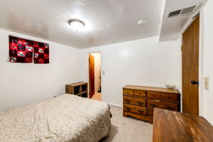 Basement Bedroom 4 with a walk-in closet