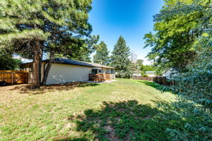 Large backyard with a privacy fence all around!