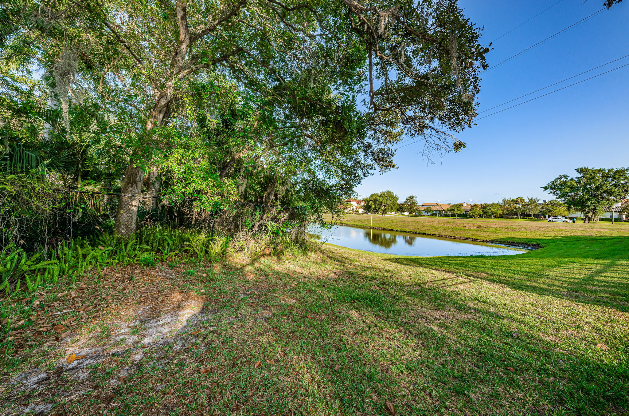 Backyard View1