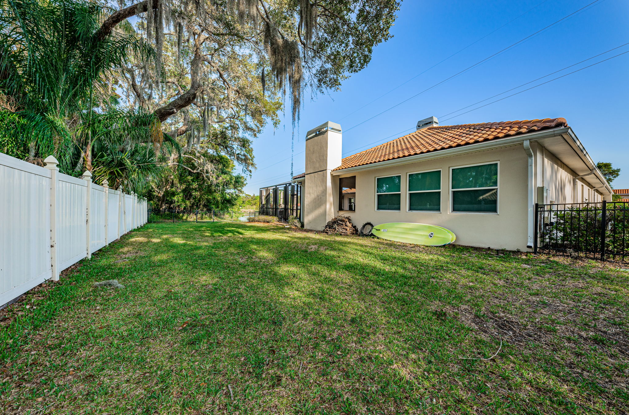 Backyard1