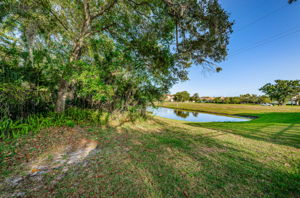 Backyard View1