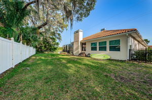 Backyard1