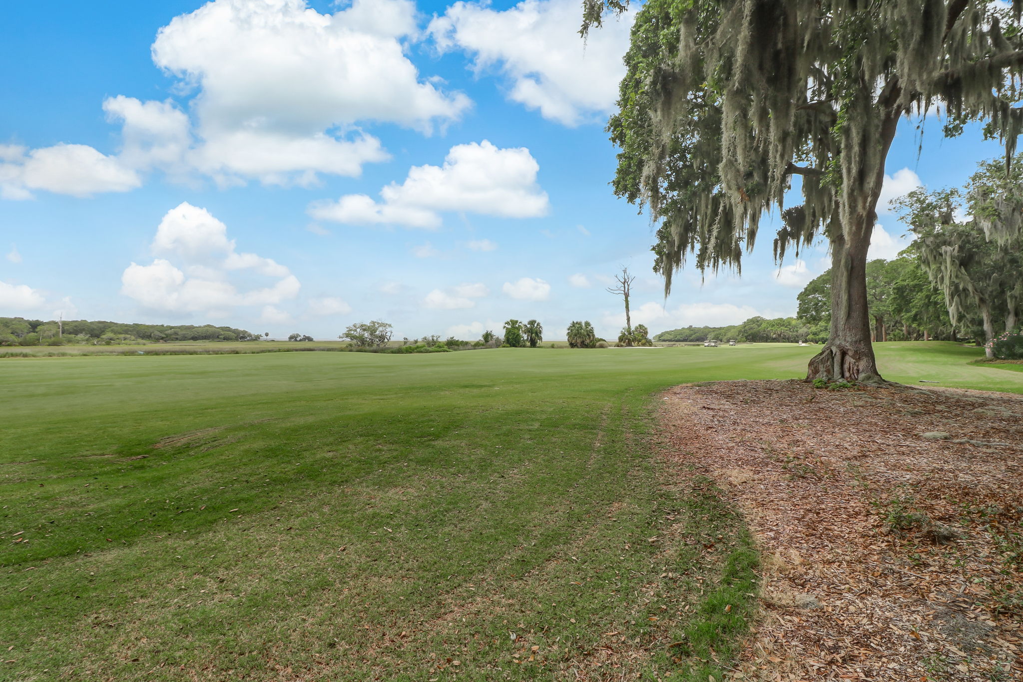 Golf Course View