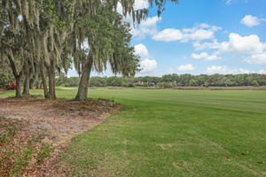 Golf Course View