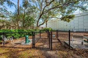 17-Dog Park