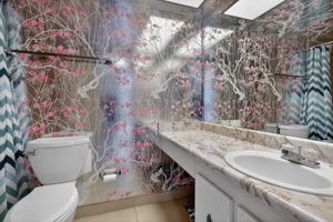  Photo 31