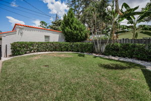 Backyard2
