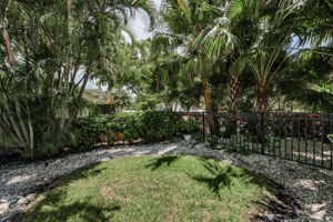 Backyard7