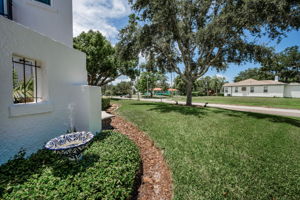 Frontyard1