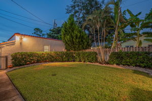 Backyard23