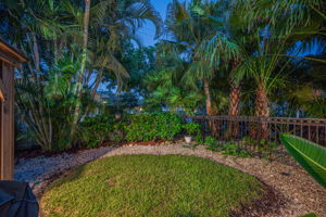 Backyard25