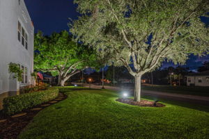 Frontyard22