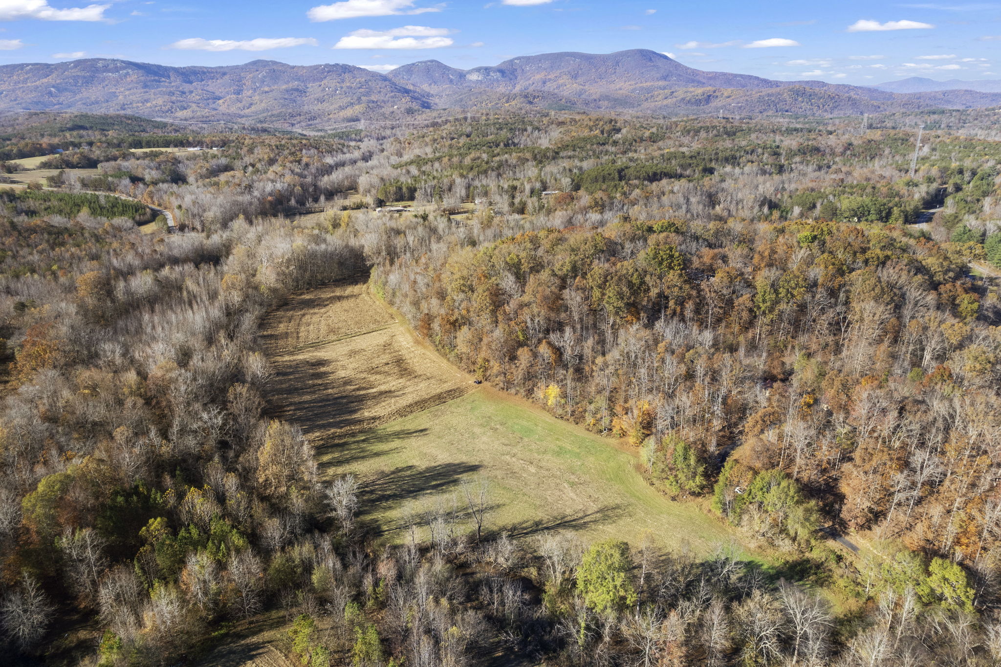 301 Dill Rd, Landrum, SC 29356, USA Photo 29