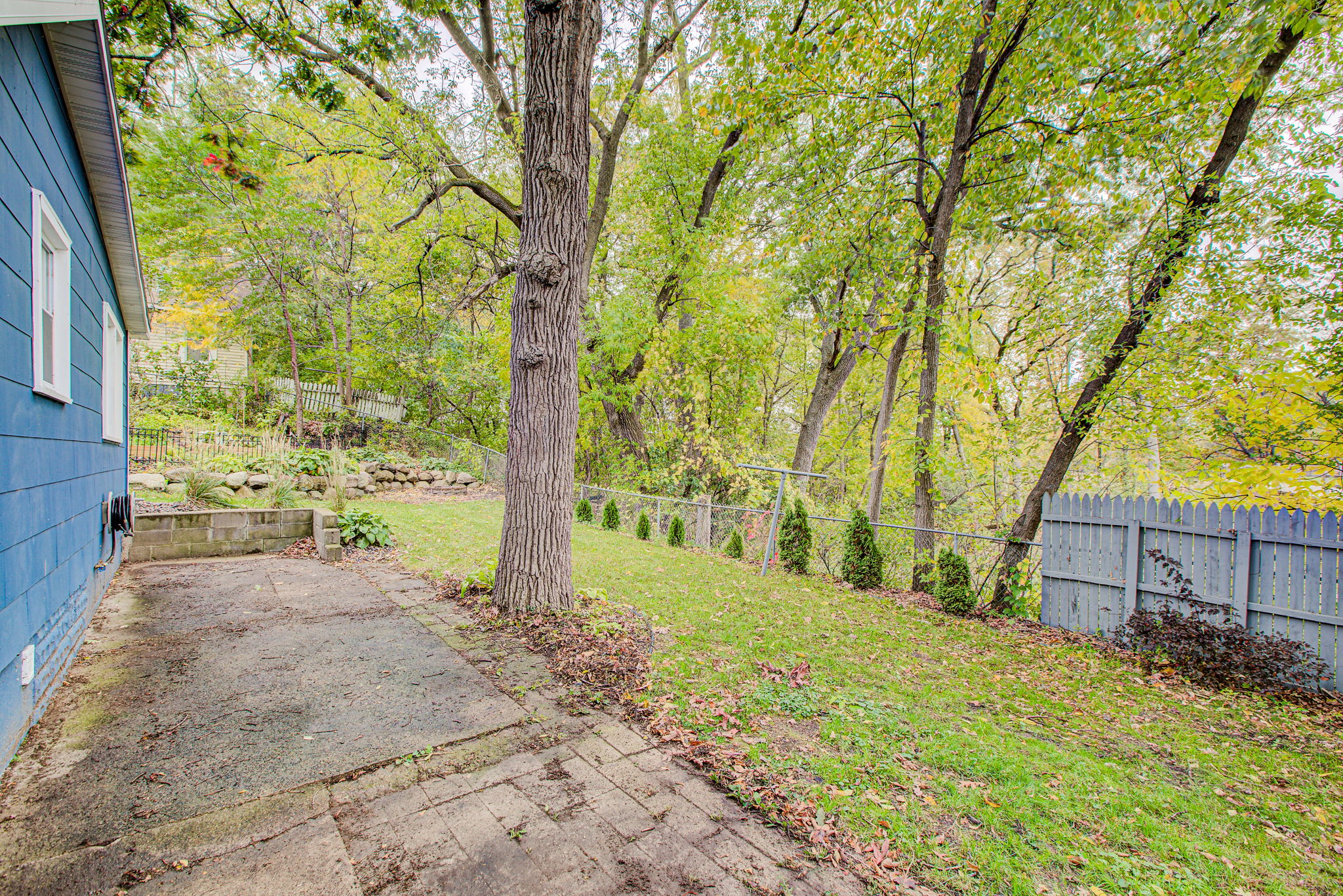 Fenced backyard