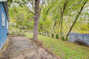 Fenced backyard
