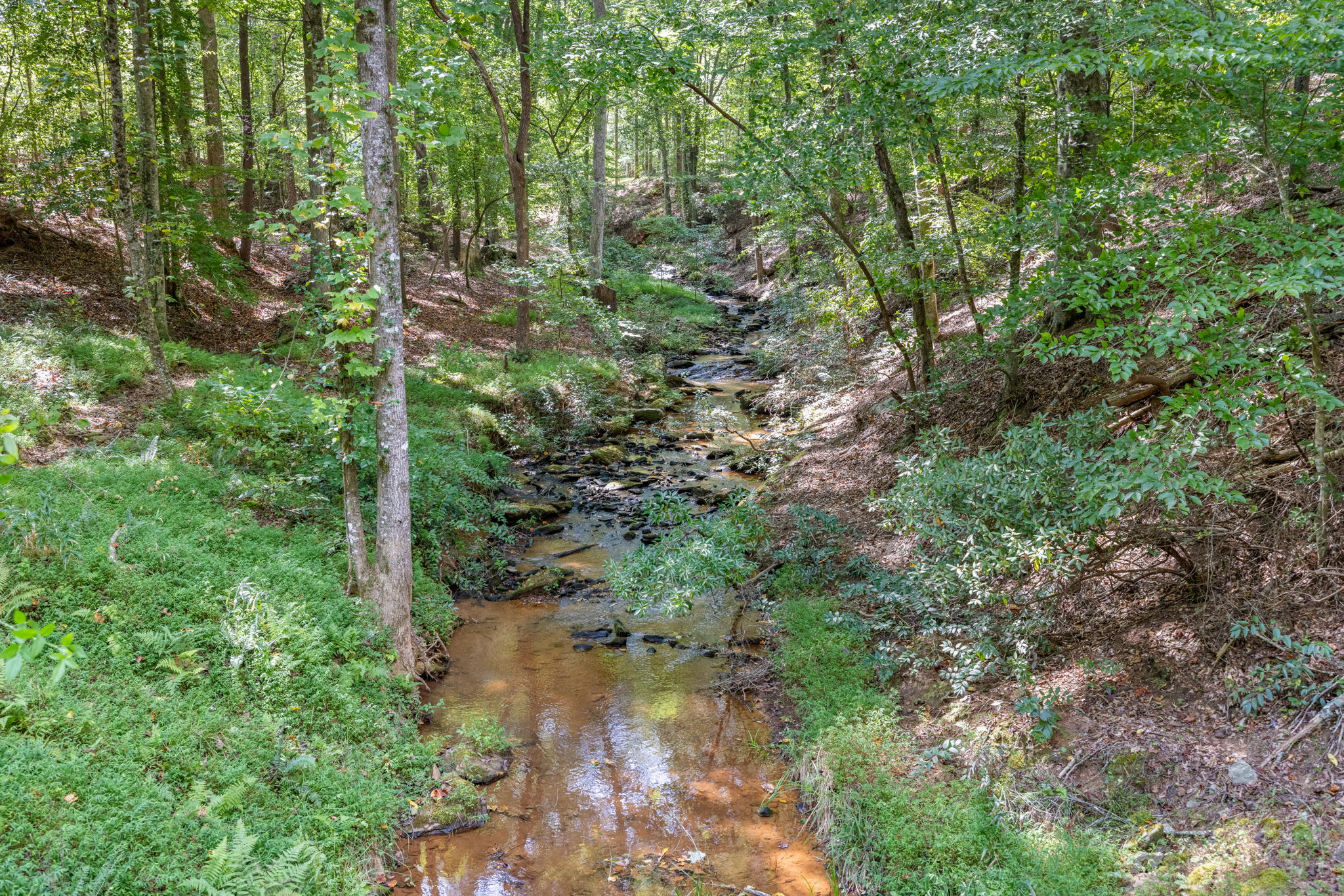 The Rivers_Cornelia-9