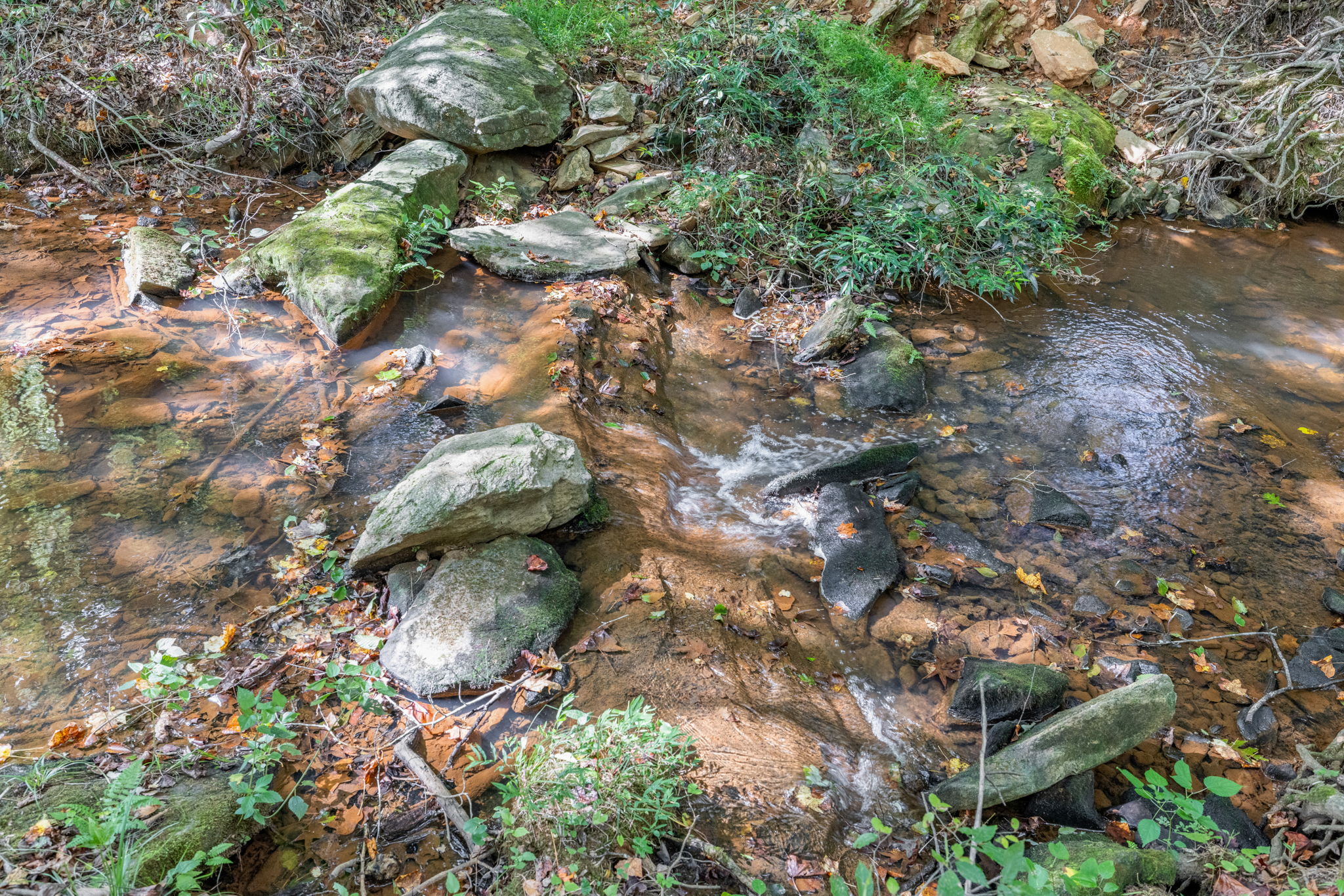 The Rivers_Cornelia-14