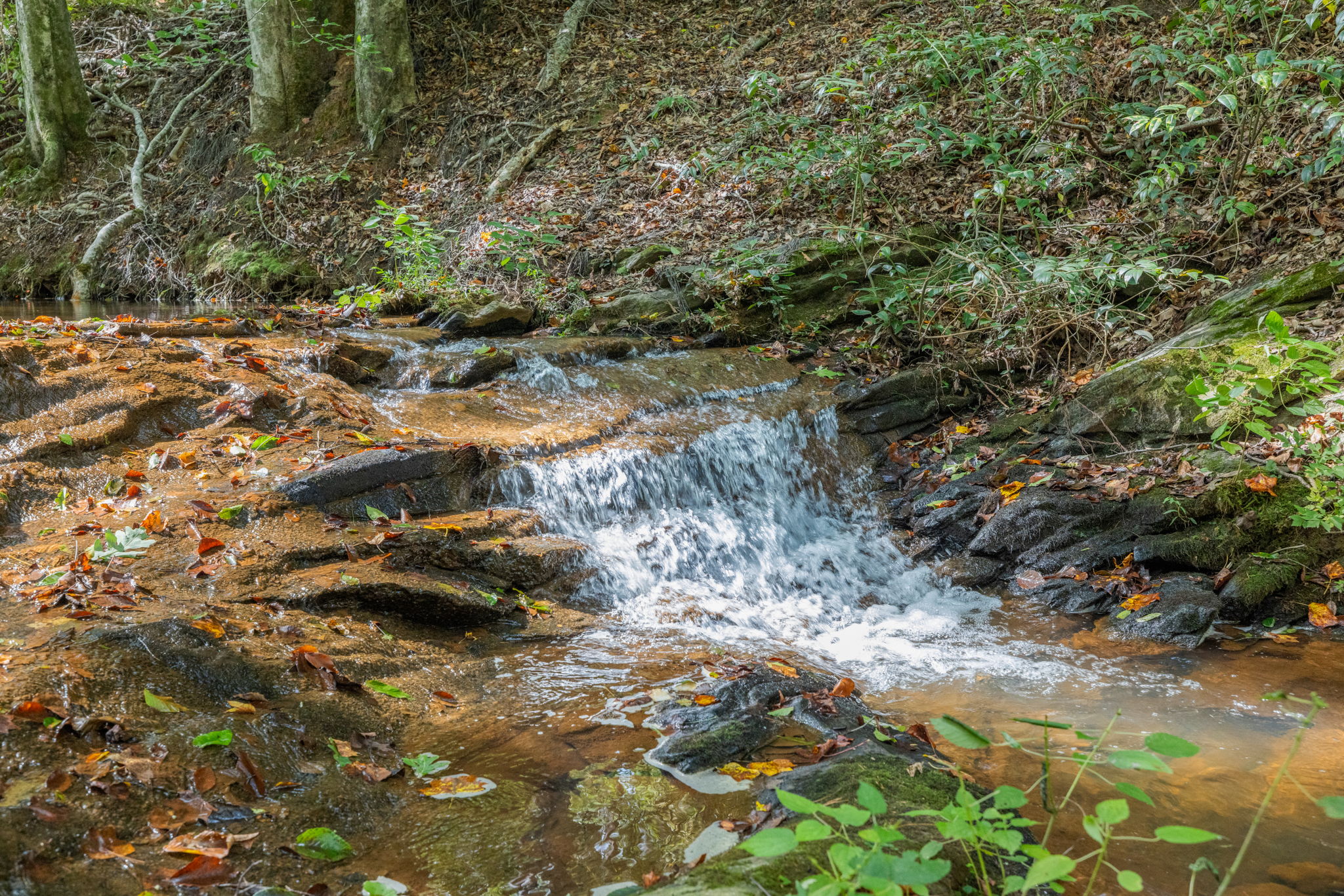 The Rivers_Cornelia-16
