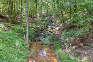 The Rivers_Cornelia-9