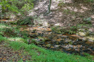 The Rivers_Cornelia-11