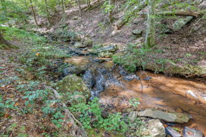 The Rivers_Cornelia-12