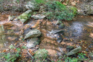 The Rivers_Cornelia-14