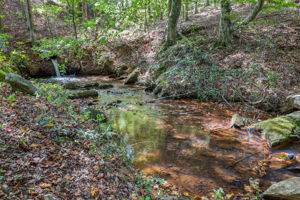 The Rivers_Cornelia-15